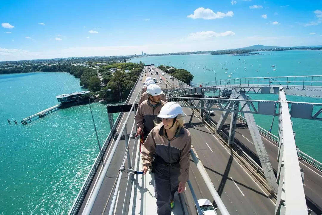 Auckland Bridge Climb by AJ Hackett