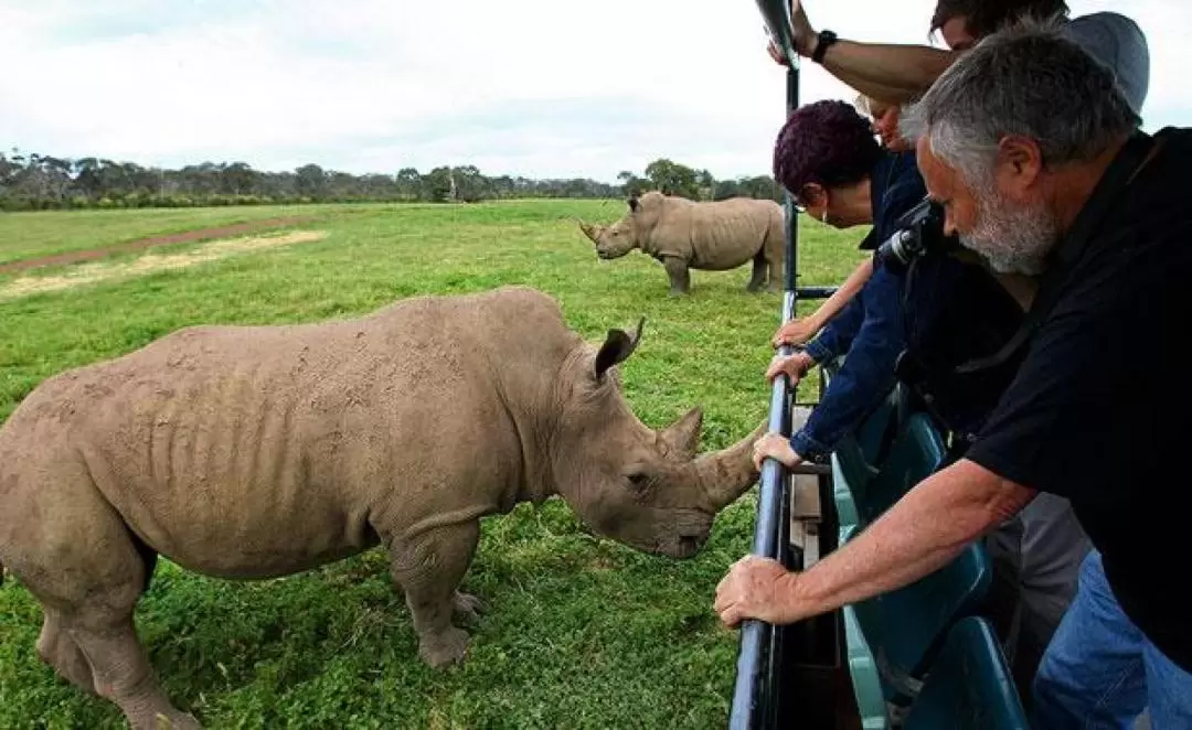 Werribee Zoo Deluxe Safari Adventure Experience