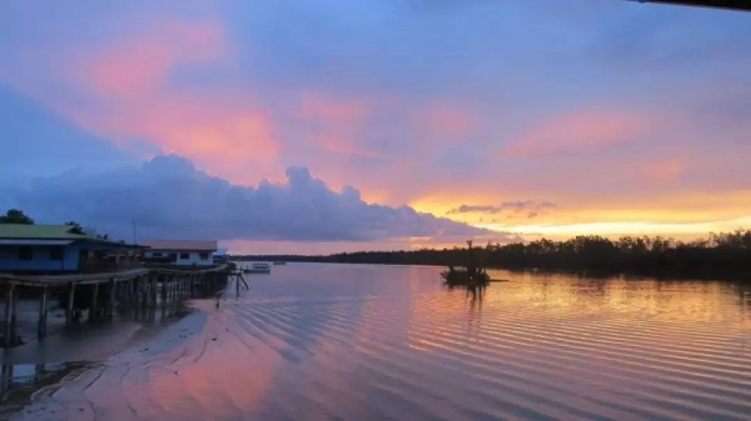 Weston Wetlands Monkey, Sunset & Fireflies Cruise