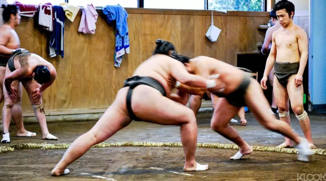 Sumo Practice in Tokyo