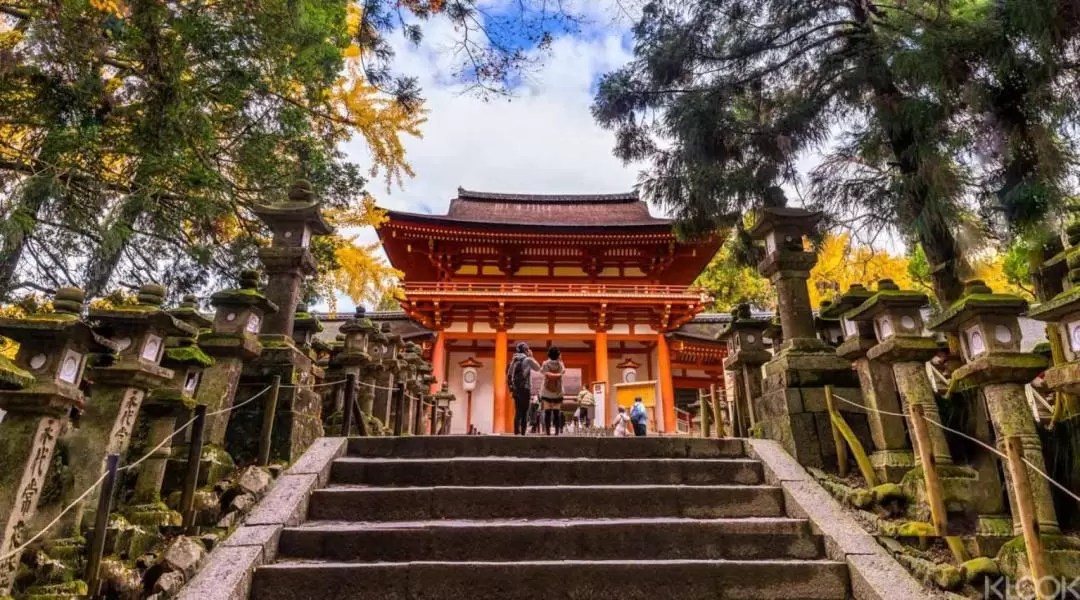 Kyoto and Nara Day Tour from Kyoto
