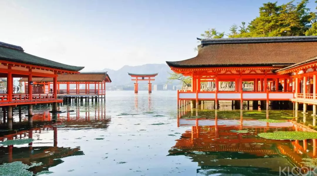 Hiroshima & Miyajima One Day Tour (Round trip from Osaka) 