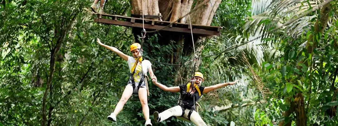 Flying Hanuman Ziplining Experience in Phuket Natural Rainforest