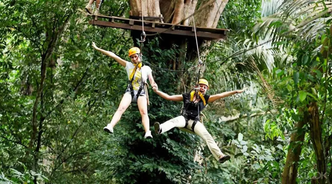 Flying Hanuman Ziplining Experience in Phuket Natural Rainforest