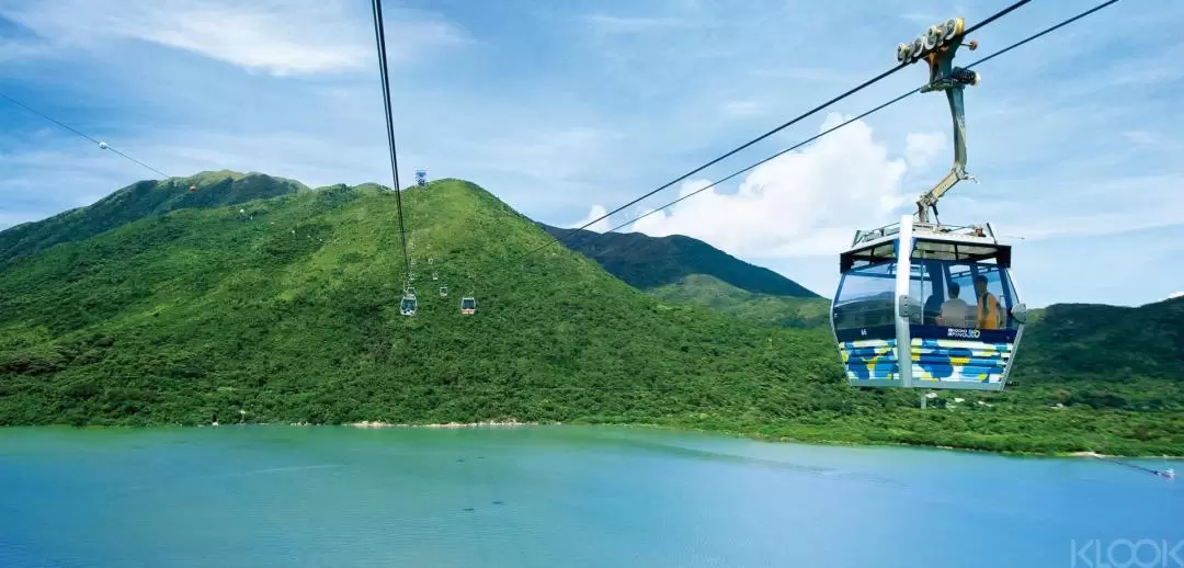 Ngong Ping 360 Tai O Pass (Include Bus and snack coupon)