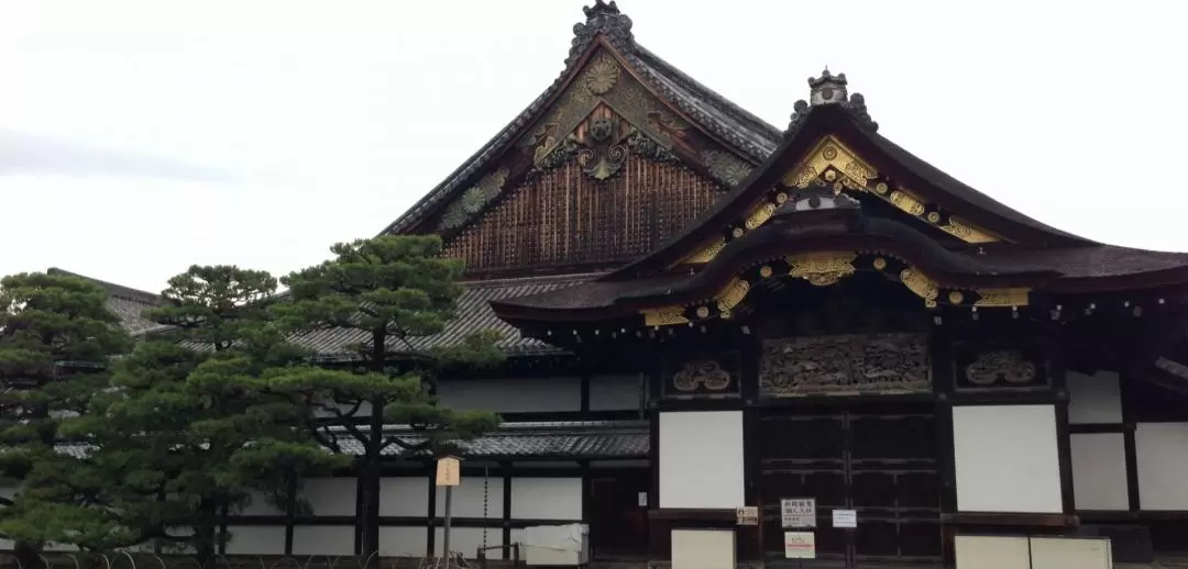 Kyoto Morning Sightseeing Tour