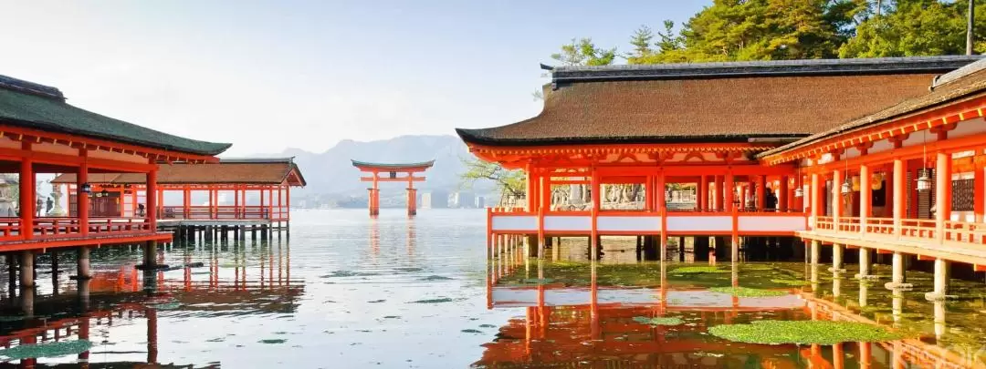 Hiroshima & Miyajima One Day Tour (Round trip from Osaka) 