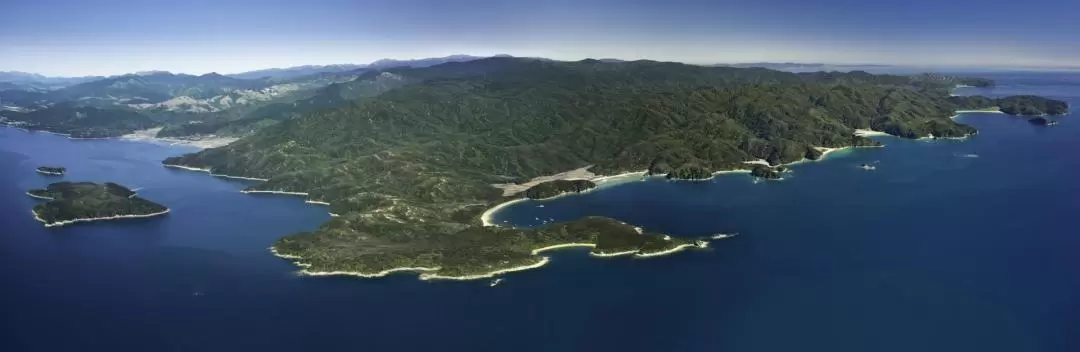 Abel Tasman Seals and Beach Tour from Nelson