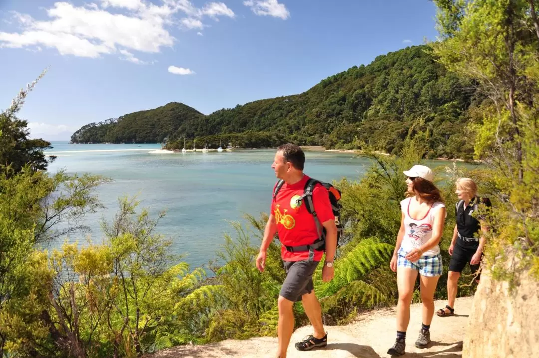 Abel Tasman Seals and Beach Tour from Nelson