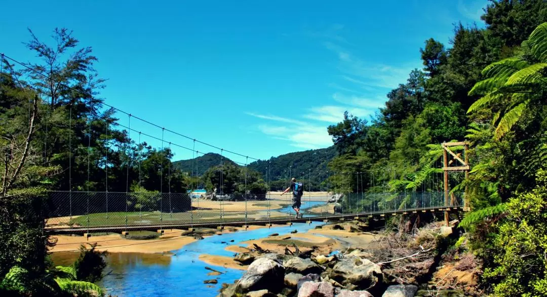 Abel Tasman Seals and Beach Tour from Nelson