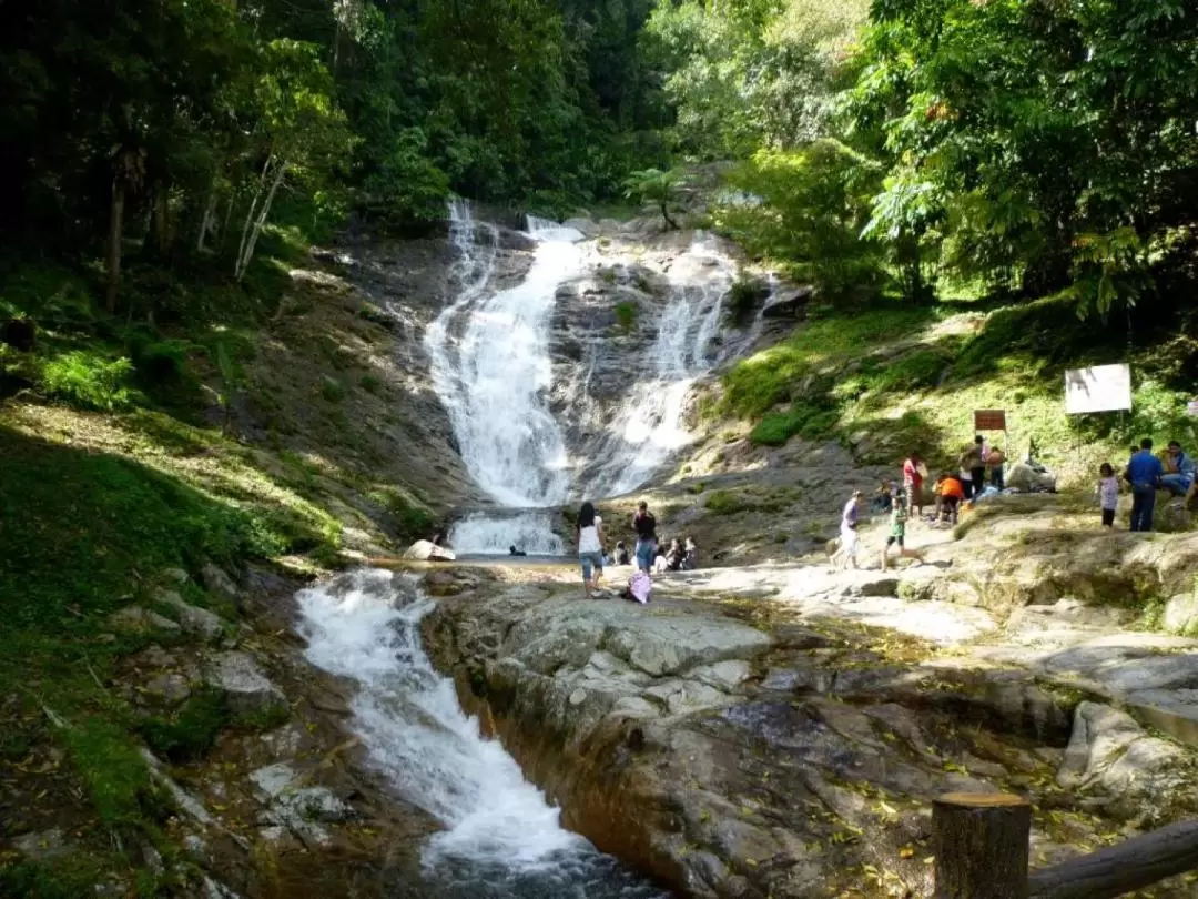 Cameron Highlands Day Tour