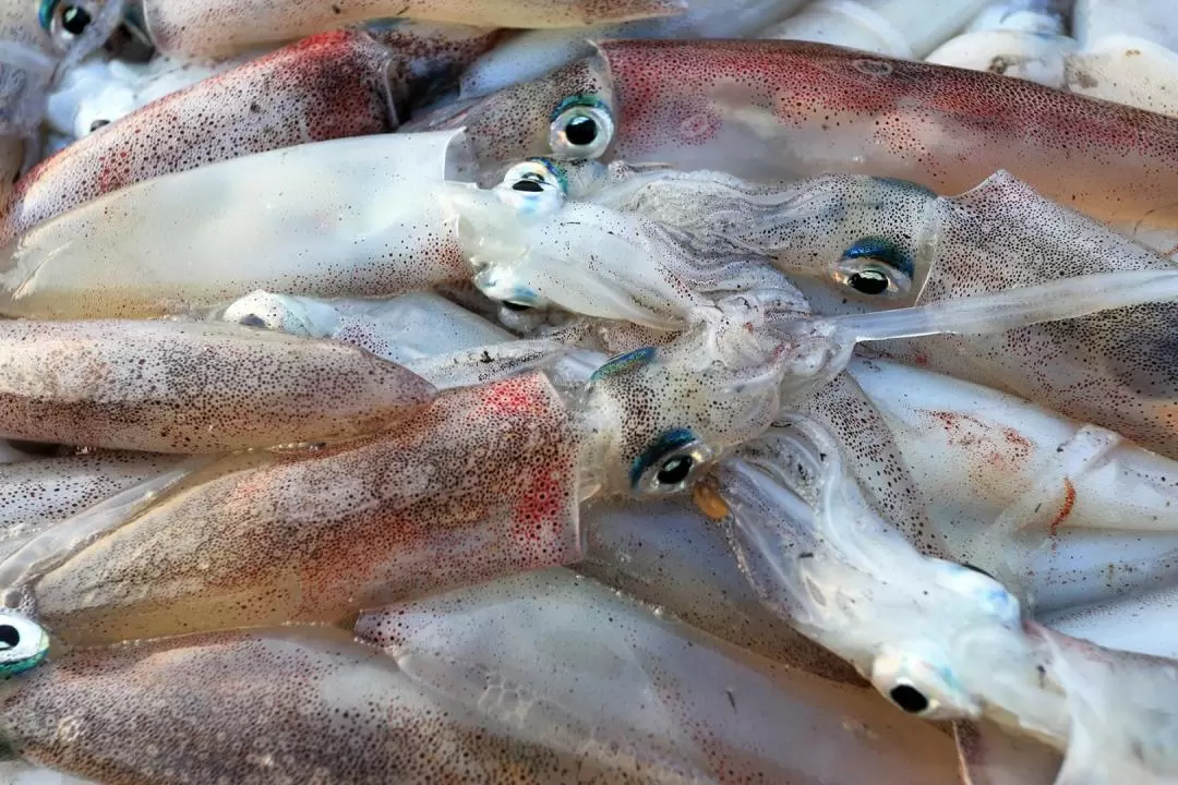 澎湖：夜釣小管體驗・品嚐小管麵線