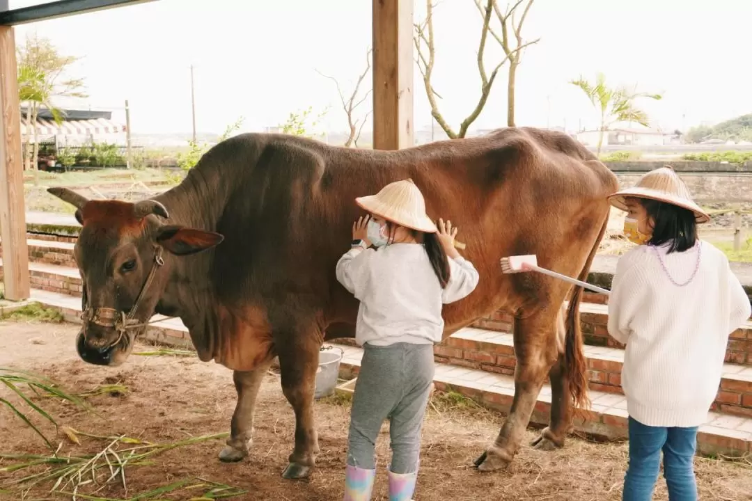 Niutousi Parent-child Farm Ticket in Yilan