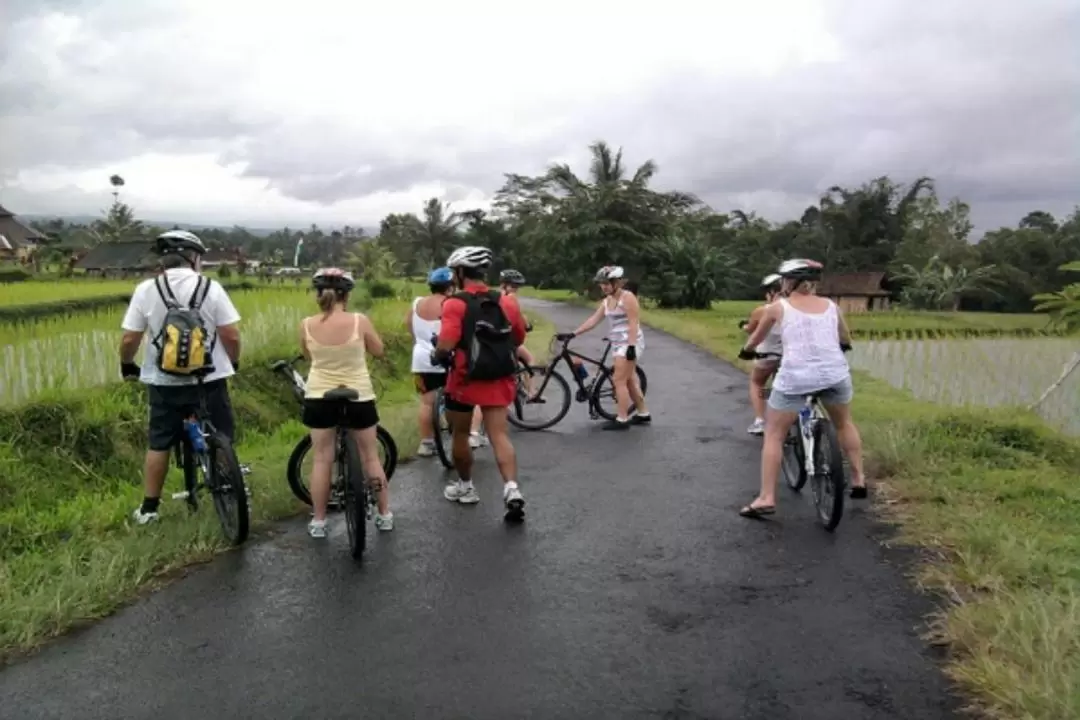 Yogyakarta Private Cycling and Village Tour