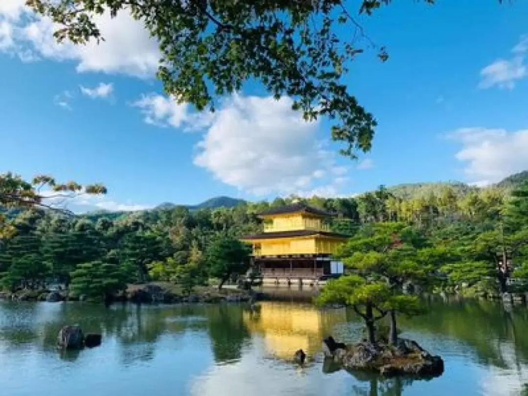 Kinkakuji & Kiyomizu Temple & Fushimi Inari Shrine Kyoto Tour丨Osaka 