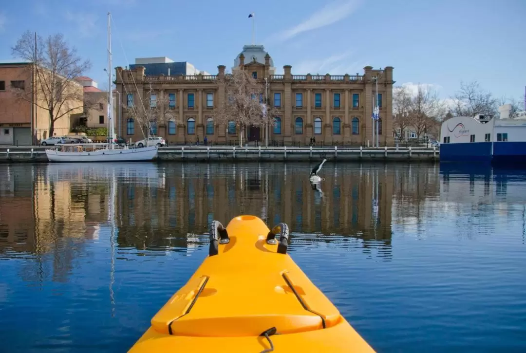 Hobart City Kayaking Tour	