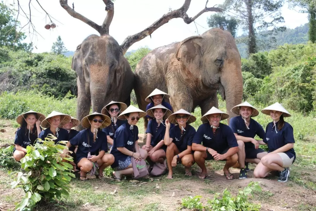 Half Day Caring Elephant in Samui