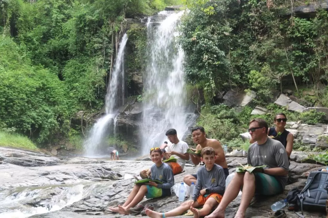 Doi Inthanon elephant sanctuary 