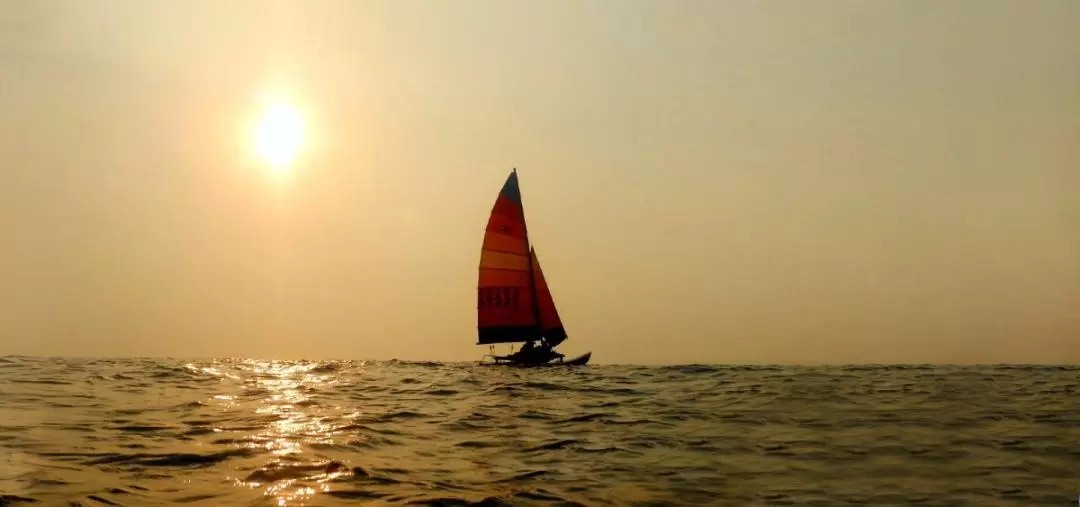 台南｜漁光島｜追夕陽接駁專車