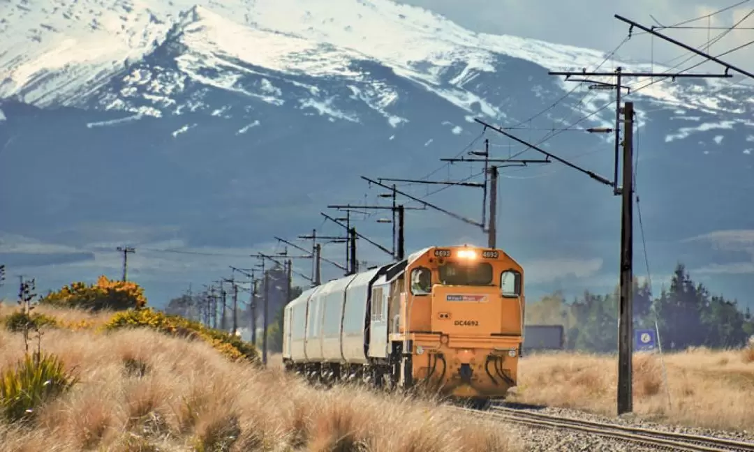 Northern Explorer Train Ticket between Auckland and Wellington