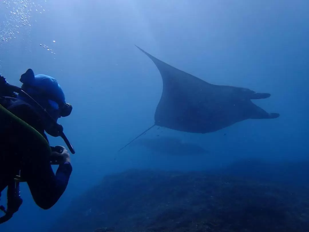 발리 동부 스쿠버 다이빙 체험 by Bali Aqua Dive Center