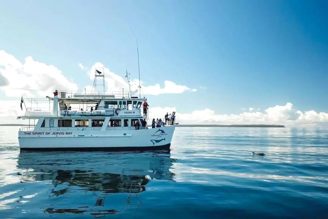 Dolphin Watch Cruise Experience in Jervis Bay 