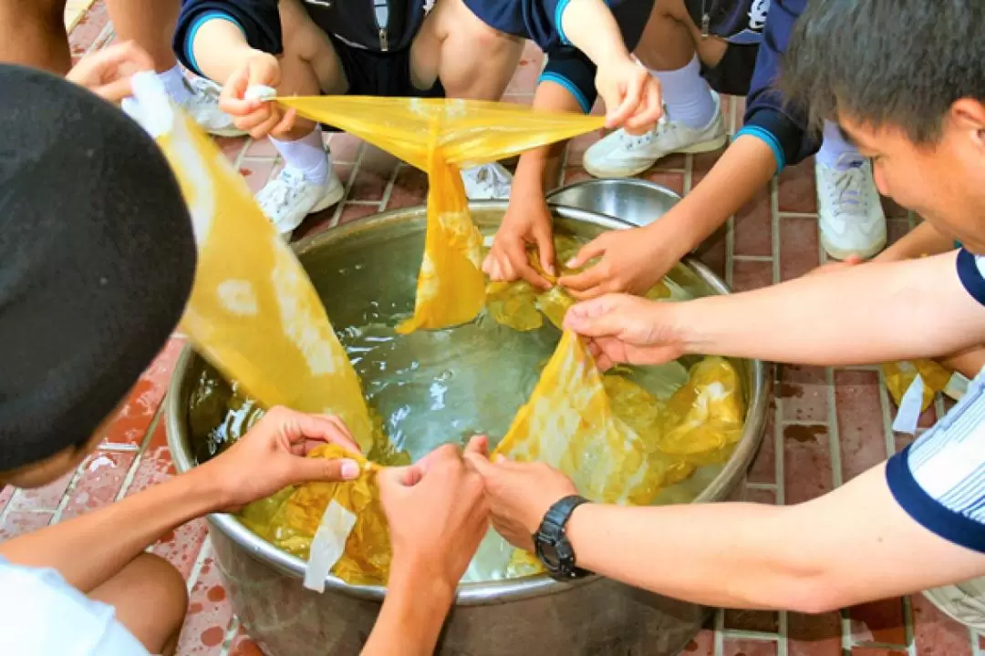 Handkerchief Plant Dyeing Workshop in Kagoshima