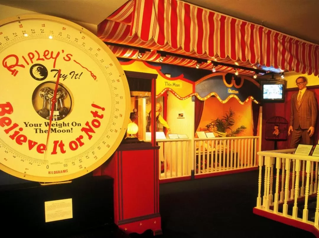 Ripley's Believe It Or Not! Museum Ticket in Pattaya