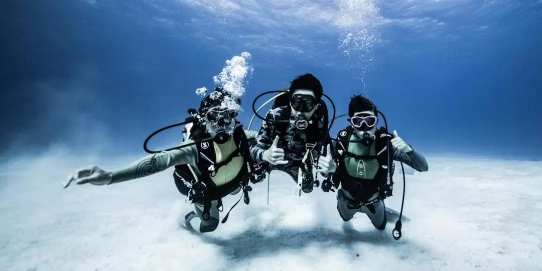 Diving Experience at Shitipin, Hualien