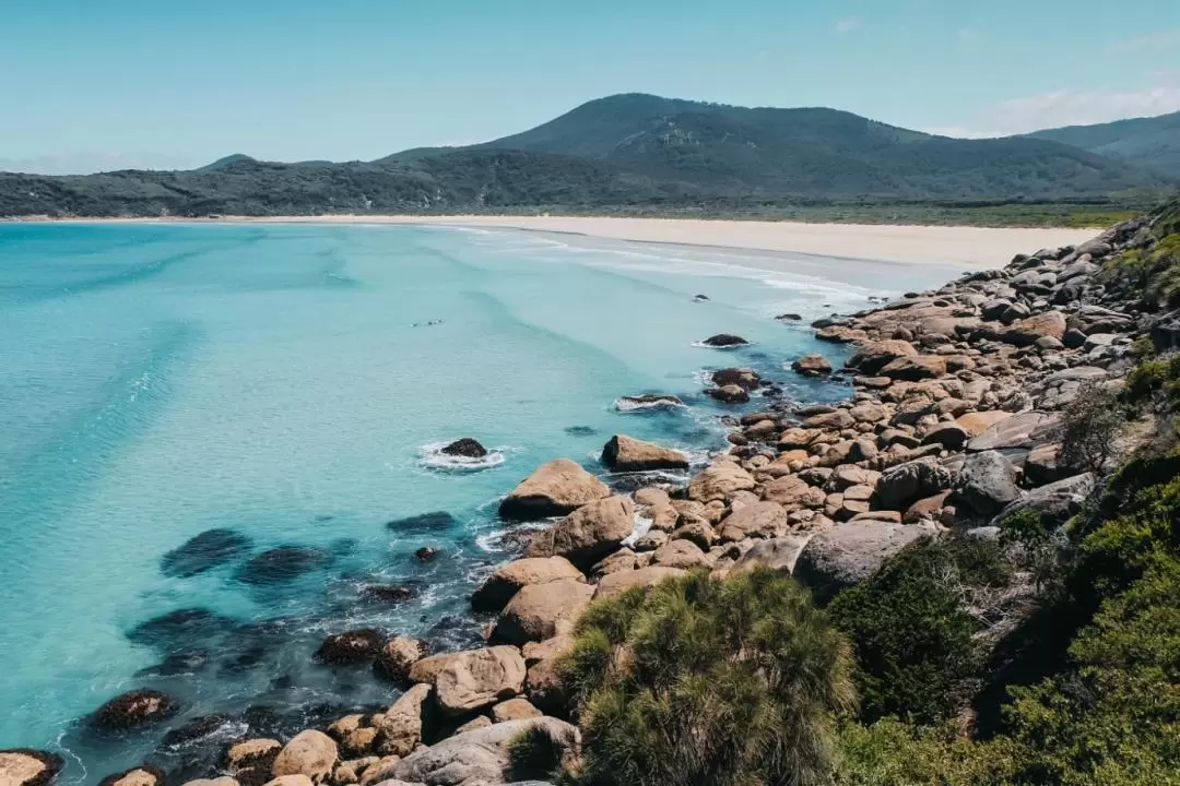 Wilsons Promontory Hiking Day Tour