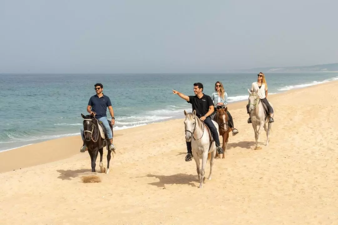 Horseback Riding Experience in Comporta and Setubal City Tour from Lisbon