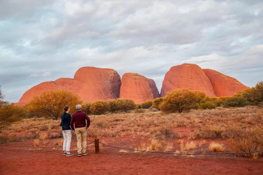 Ochre Pass 4 Half Day Tours