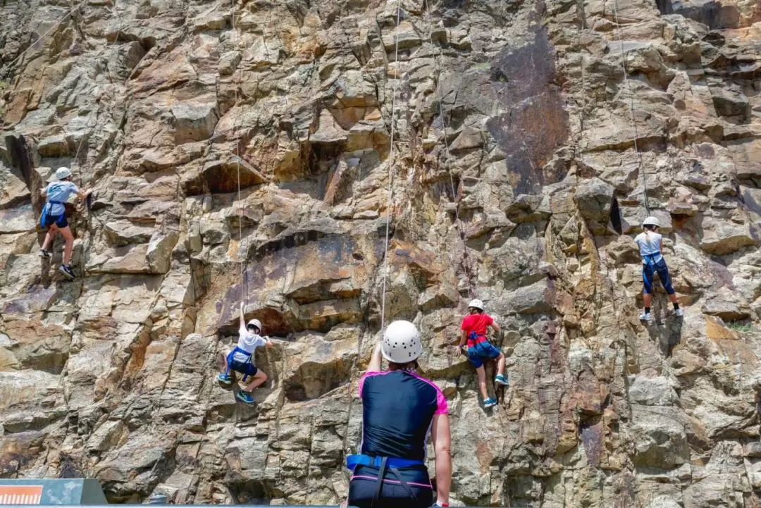 Outdoor Rock Climbing Experience in Brisbane