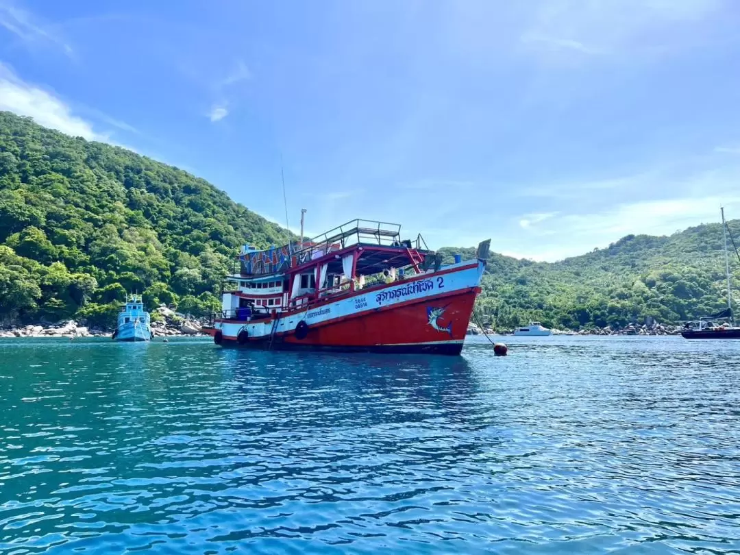 濤島 & 南園島7小時浮潛體驗