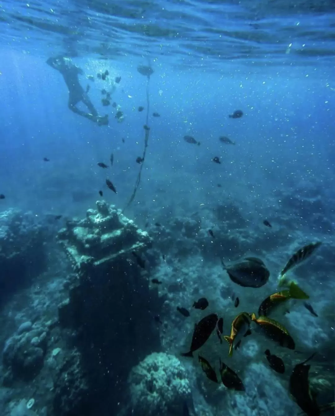 峇里島艾湄灣浮潛體驗（可選天堂之門／蒂爾塔岡加水皇宮之旅）