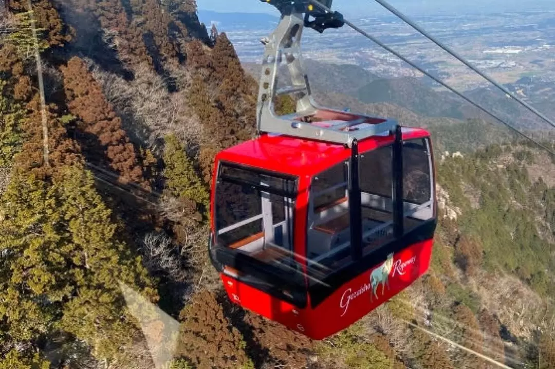 Gozaisho Ropeway and Nabana no Sato One Day Trip from Osaka/Nagoya