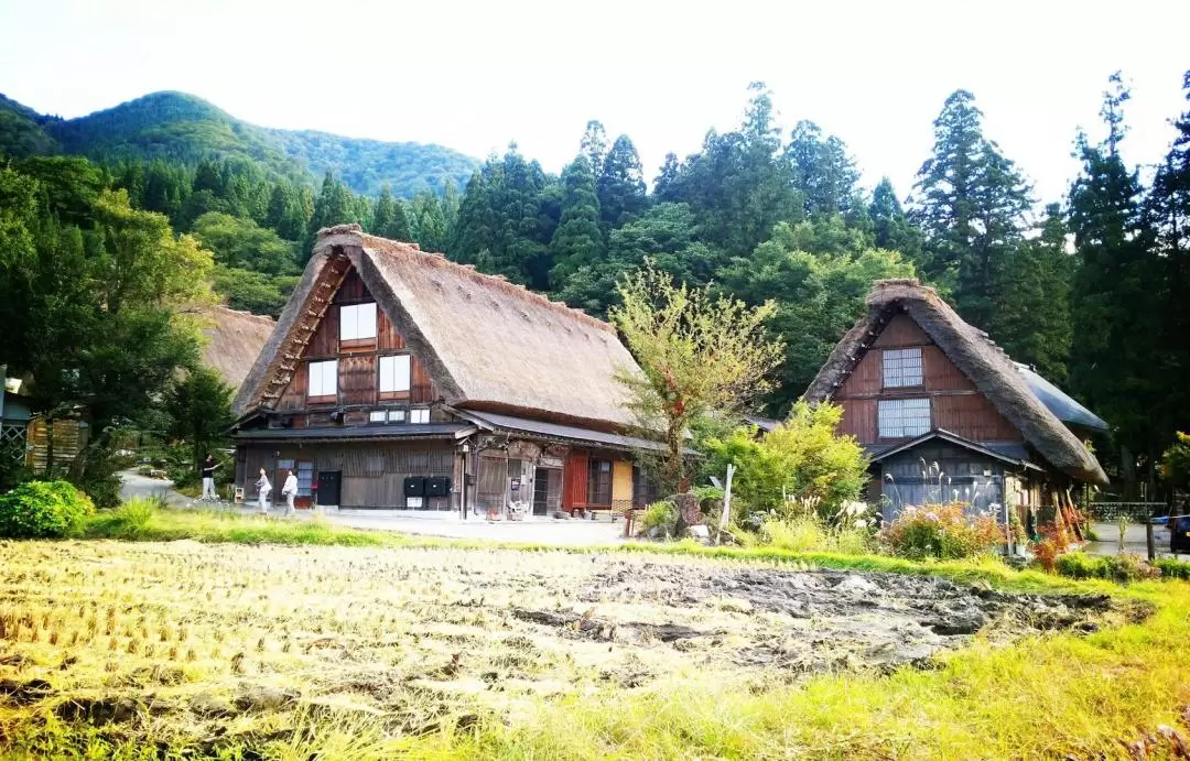 The Historic Villages of Shirakawago and Takayama Jinya Day Trip