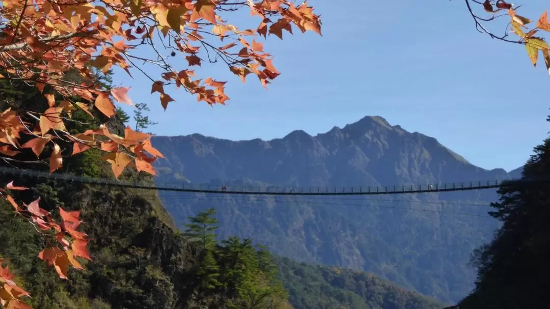 Aowanda National Forest Recreation Area Ticket in Nantou