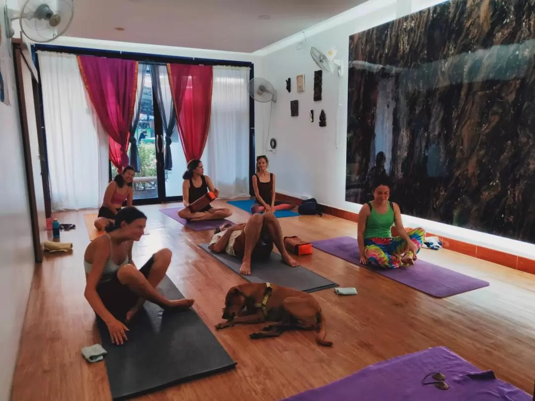 Yoga Class in Koh Lipe