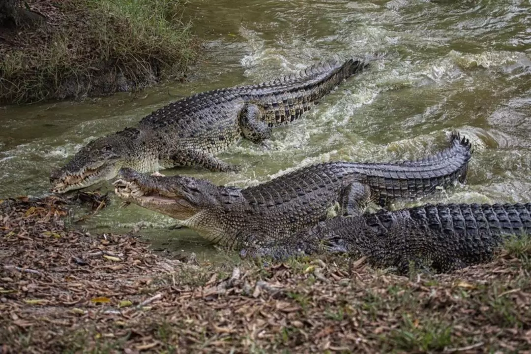 Paya Indah Discovery Wetlands Experience at Gamuda Cove Selangor