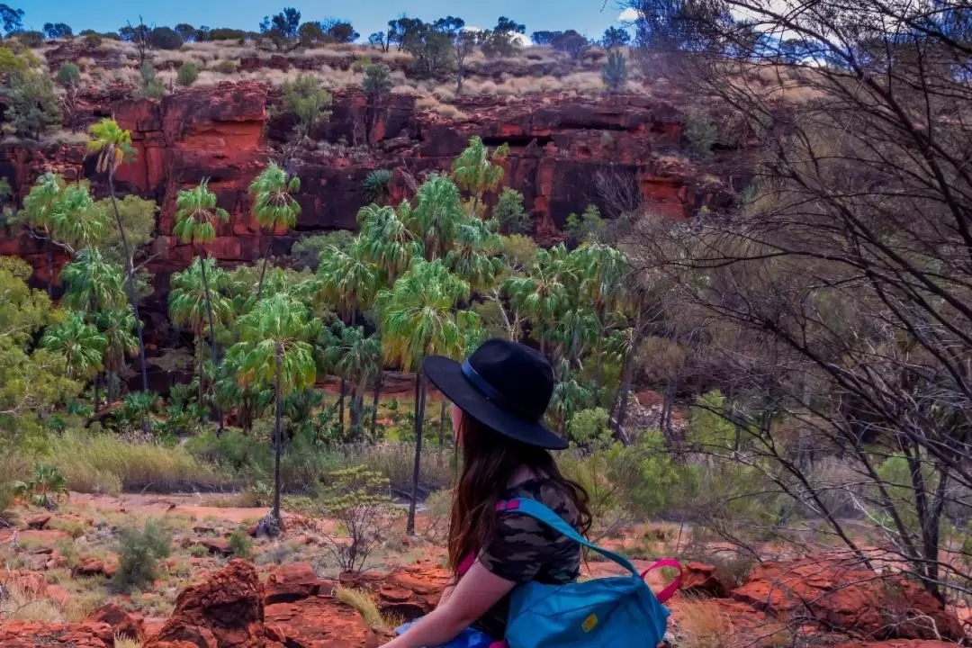 Palm Valley Full Day Tour from Alice Springs