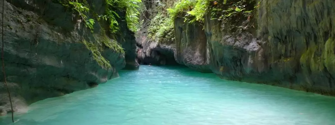 Moalboal Cebu Island Hopping and Canyoneering Experience