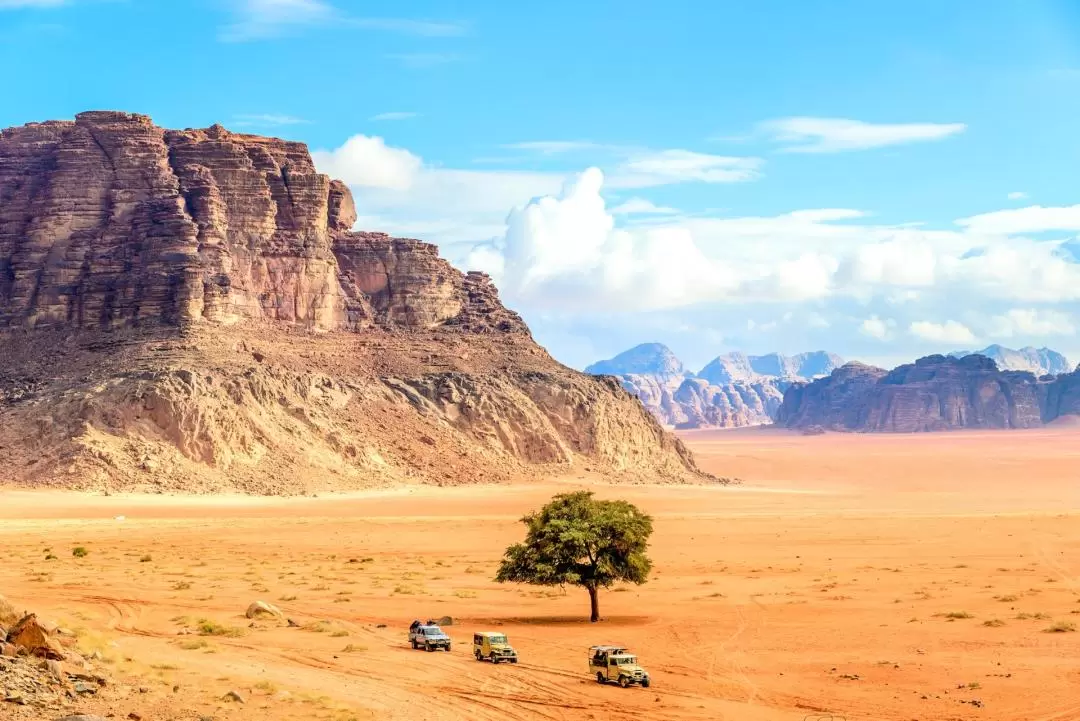 Wadi Rum Day Tour from Amman