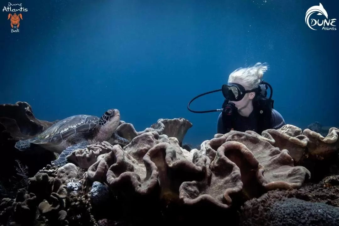 Fun Diving Experience in Bali by Dune Atlantis