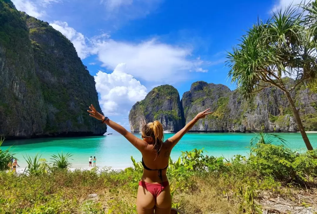 From Krabi Day Trip to Phi Phi with Transfer and Private Longtail Tour