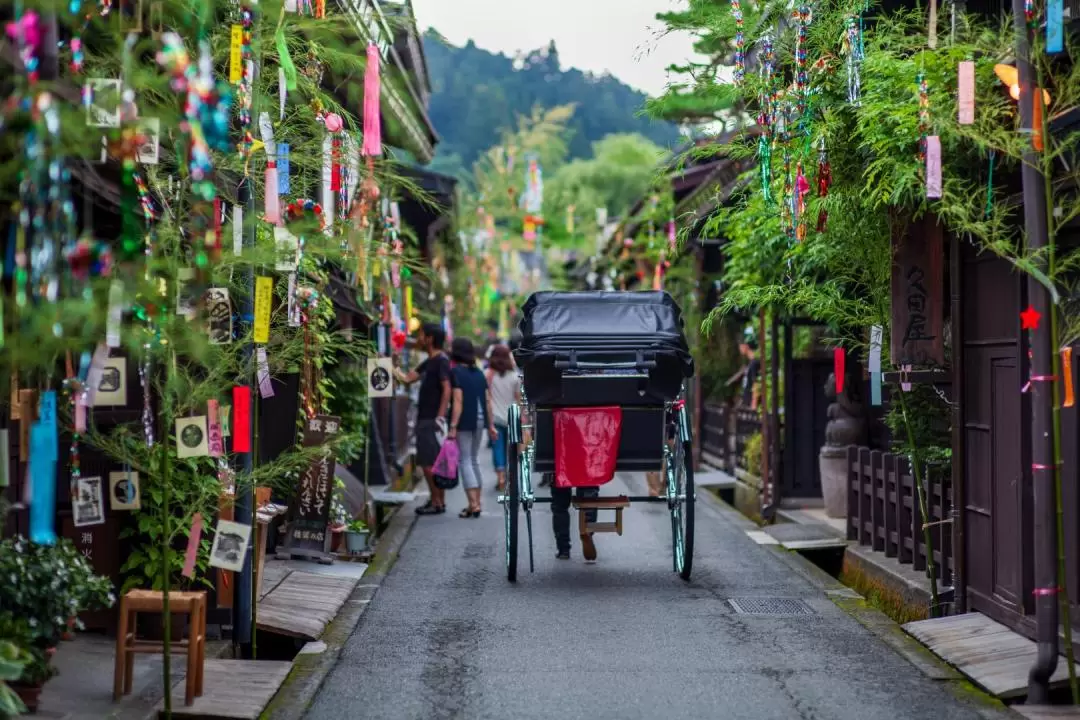 Takayama Hida Folk Village Walking Tour