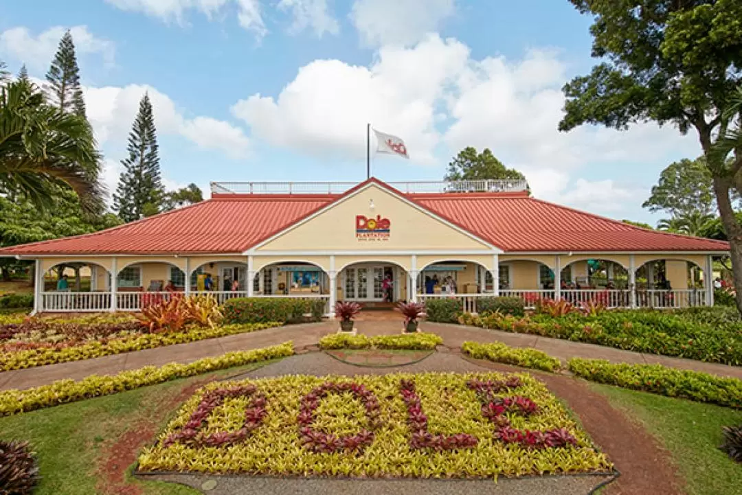 Grand Circle Island and Haleiwa Town Tour