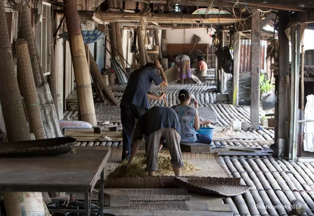 Caving and Semenggoh Wildlife Centre or Annah Rais Longhouse Tour in Kuching