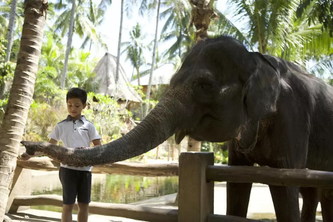 龍目島野生動物園門票（外籍遊客適用）