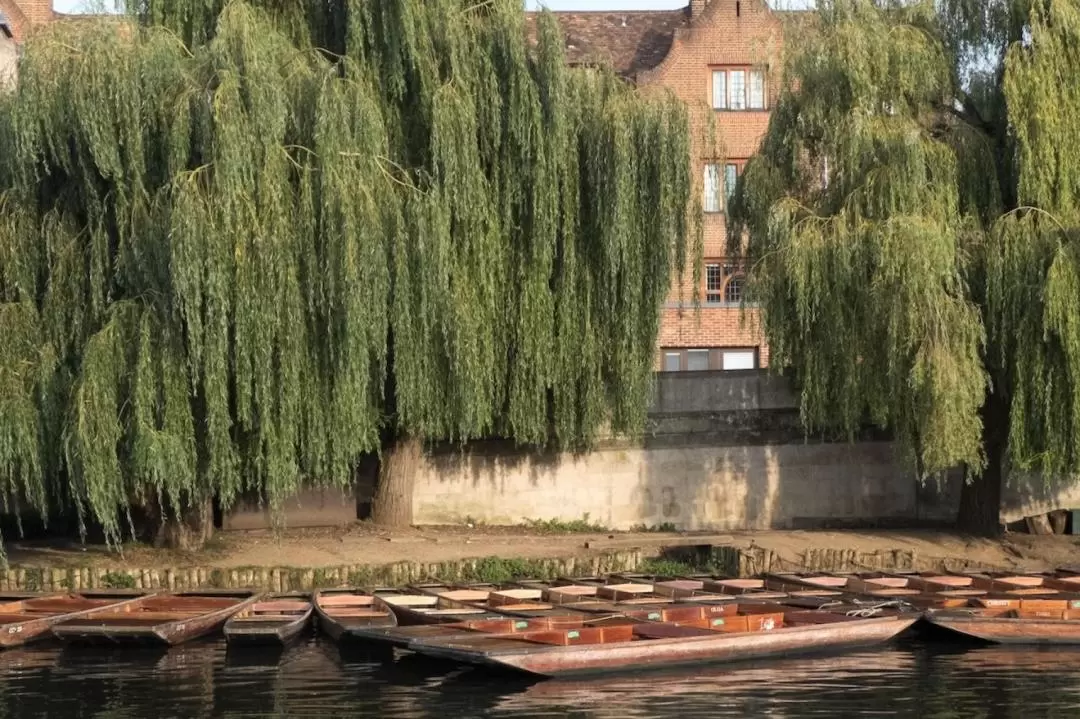 Cambridge University Walking Tour